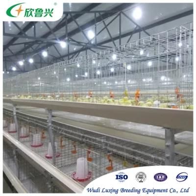 Fully Automatic Manure Removing System H Type Galvanized Broiler Duck Cage