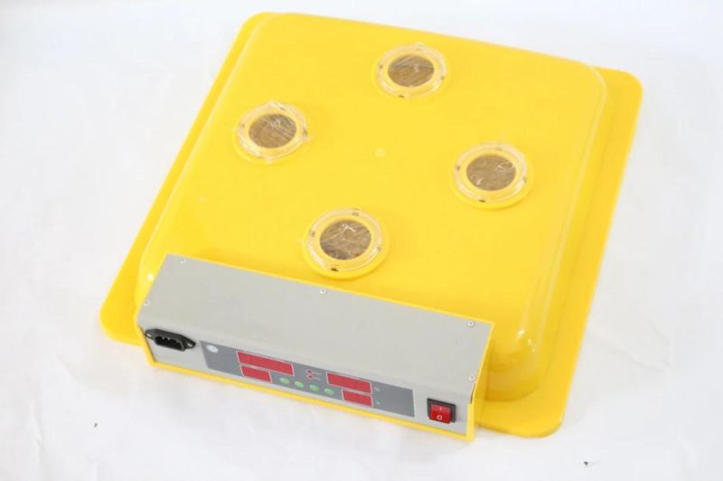 Best-Selling Full Automatic Quail Egg Incubator 48 Egg Incubator or for Sale (KP-48)