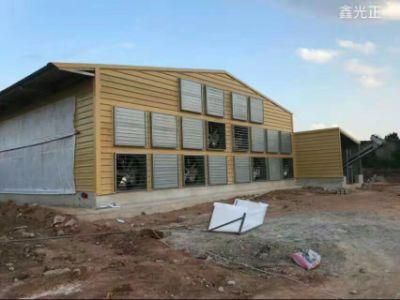 5 Layers of Laying Hens Equipment and Houses