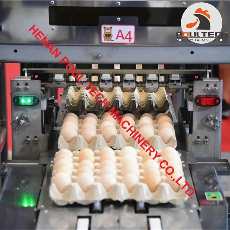 Egg Packing Machine with Capacity of 15000 Eggs Per Hour