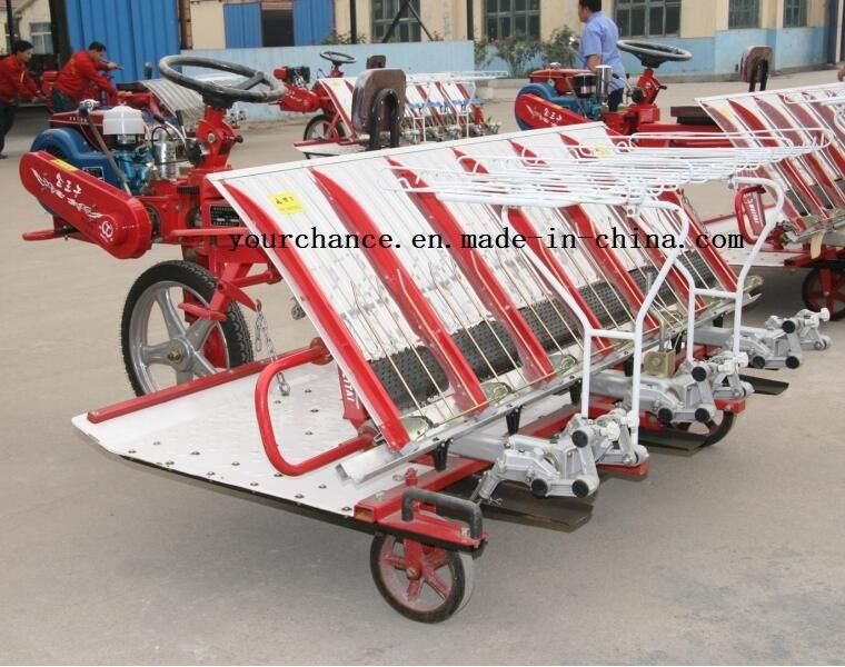 2019 Hot Selling Rice Planting Machine 2z-8238 8 Rows 238mm Rows Width Riding Type Rice Transplanter