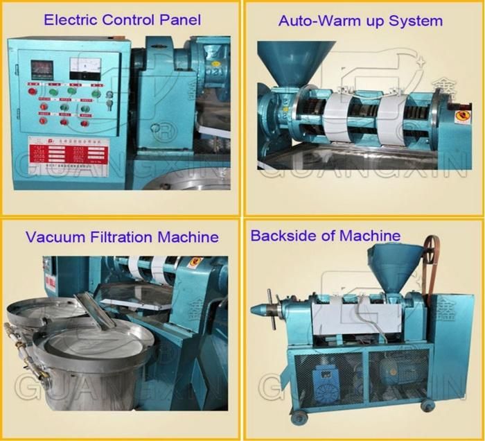 Small Oil Mill Machine 50kgs Per Hour Peanut Oil Expeller (YZYX70WZ)