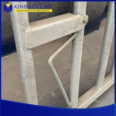 Hot Dipped Galvanized Headlock Cattle/Cow Free Stall Fence/Beg for Sale