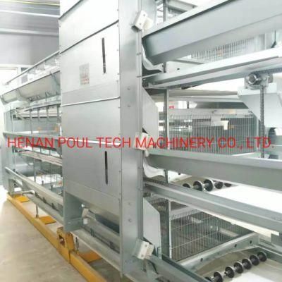 Best-Selling Type H Chicken Poultry Raising Equipment