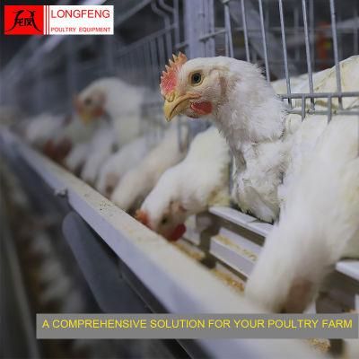 Longfeng Automatic Farming Equipment China Poultry Farm Broiler Chicken Cage Manufacture 9lcr-3120