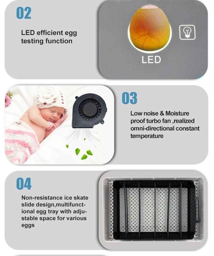 Hhd Full Automatic Mini 12 Egg Incubator with Egg Testing Function