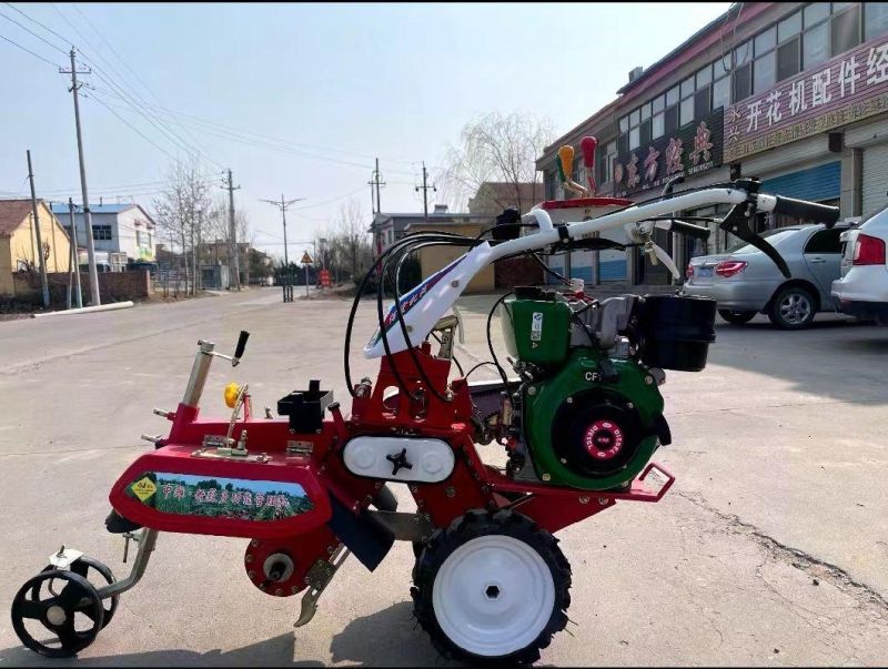 Zhongwei Mini Diesel Tiller Cultivator Power Tiller for Ginger Potato Strawberry