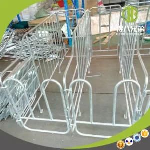 Wholesale Steel Gestation Individual Sow Pen Factory for Sale