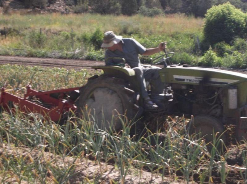 Agricultural Machinery 1 Row Potato Harvester Sweet Potato Digger Machine