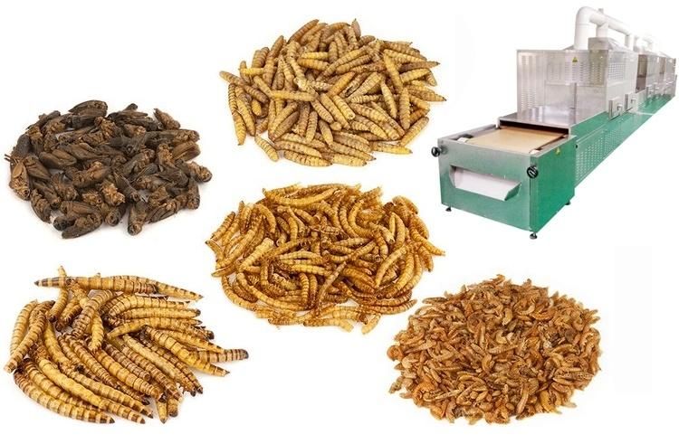 Automatic Tunnel Yellow Mealworms Microwave Drying Machine