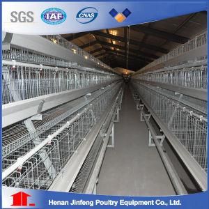 Jinfeng Poultry Equipment Layer Chicken Farming Cage