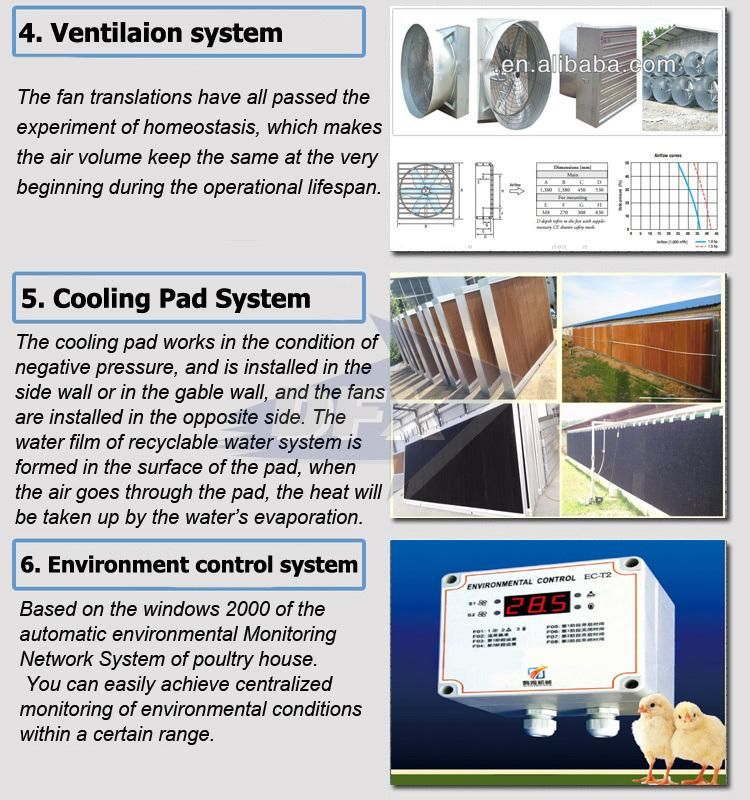 Light Steel Galvanized Material Quickly Management Broilers Poultry House