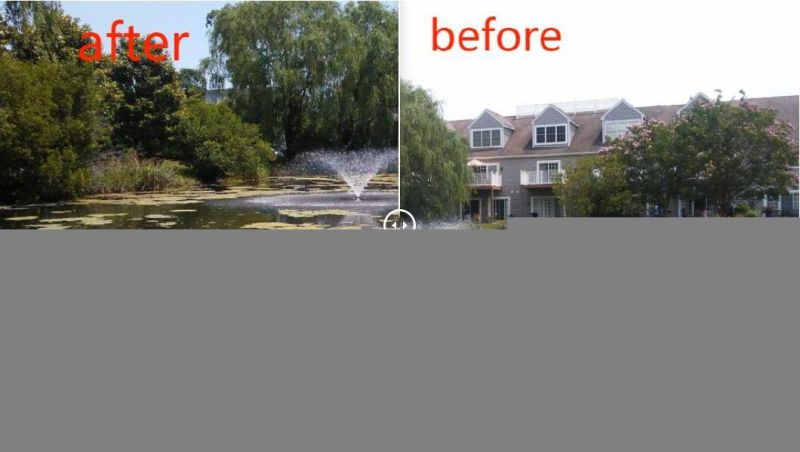 Plants Floating Grass Mower Boat/Aquatic Hyacinth Harvester
