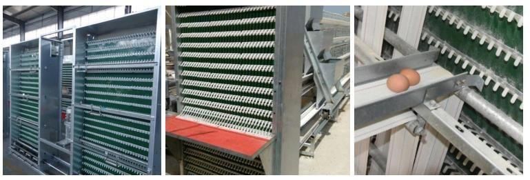 a Frame Livestock Machinery Layer Chicken Cage for Poultry Farm