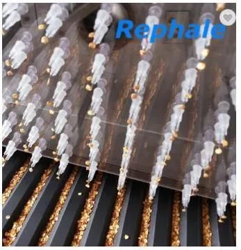 Automatic Pneumatic Vegetable Seeds Flower Seeds Fruit Seeds Seedling Machine Nursery