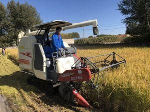 4lz-5.0z Crawler Type Full Feeding Paddy Rice Combine Harvester