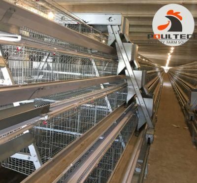 Automatic Egg Layer Chicken Farm Birds Cage Poultry Cages for Sale