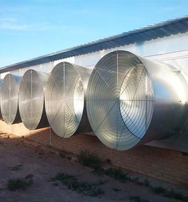 Chicken Farm Ventilation Fan with Wall