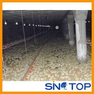 China Poultry Chicken Farm Equipment for Sale