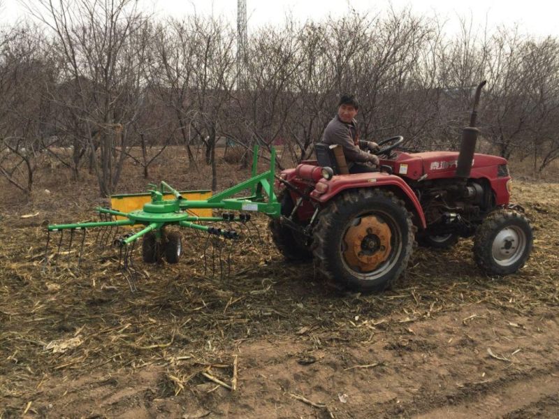 Farming Machinery Rotary Hay Rake