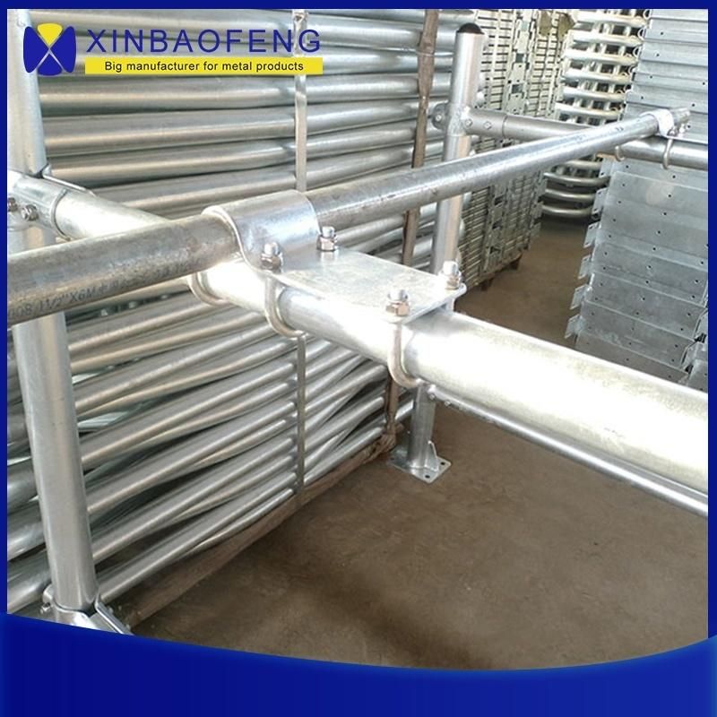 New Design Factory Price High Quality Hot Galvanized Standard Dairy Cow Free Stall for Sale
