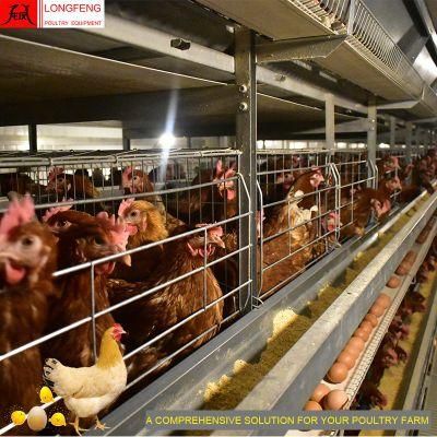 Farming Local After-Sale Service in Asia Poultry Feeding Equipment Layer Cage