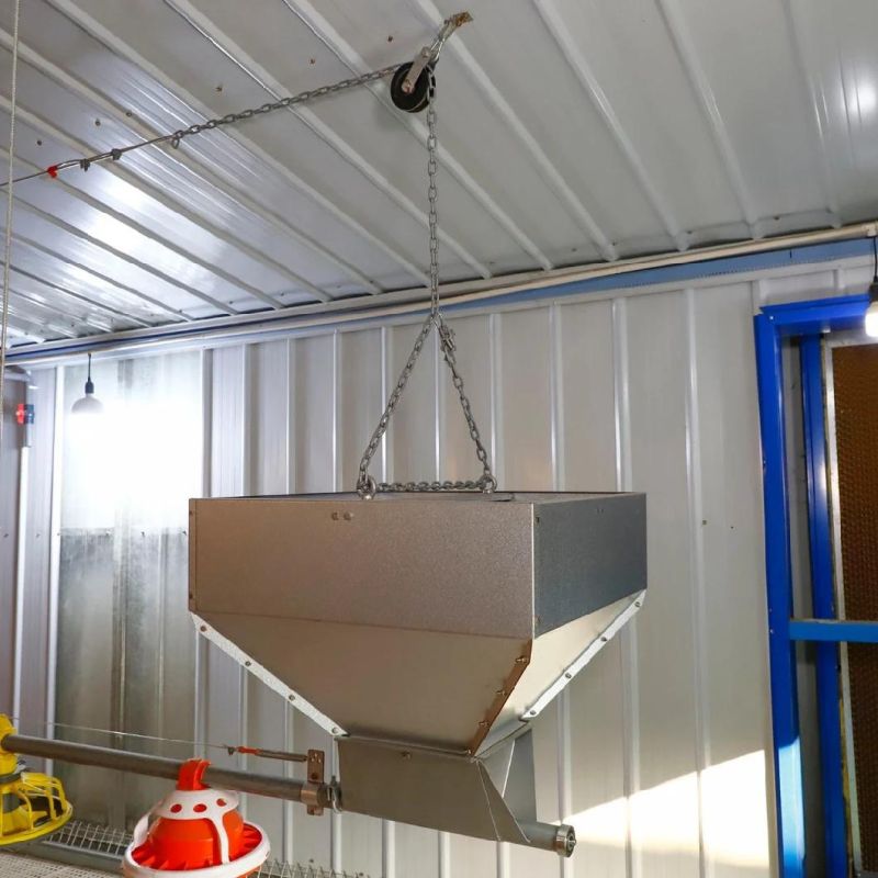 2021 Popular Sale Automatic Feeding Chicken House
