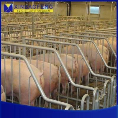 Cow Hutch / Calf Cubicles/ Farrowing Crate