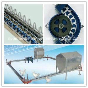 Automatic Poultry Breeder Chain Feeding Line System