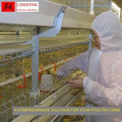 Reliable and Safety Egg Incubator Broiler Chicken Cage with on-Site Installation Instruction