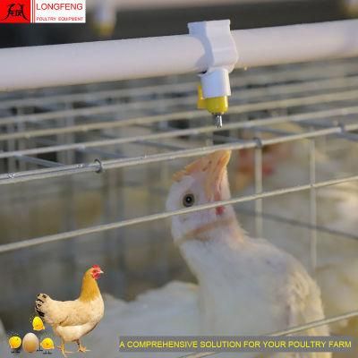 Longfeng Factory Price Comprehensive Solution Farm Poultry Equipment for A Type of Layer Cage