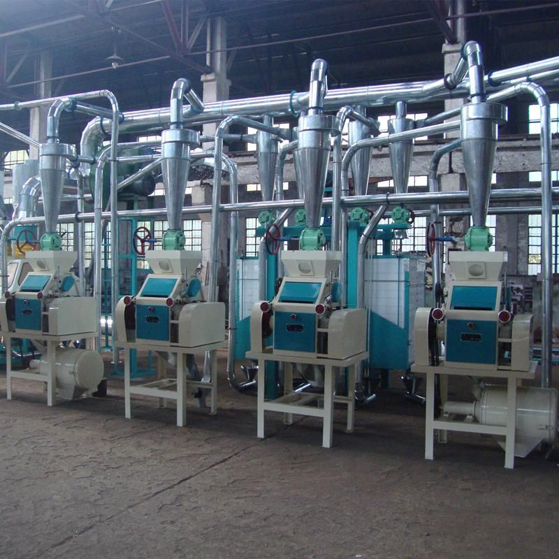 European Standard Automatic Milling Machine of Wheat