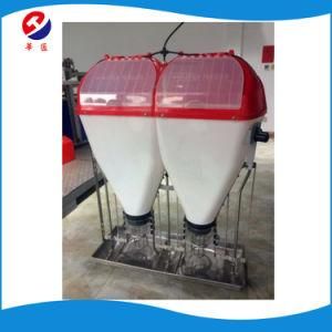 Dry and Wet Pig Feeder Free Sample Free Sample
