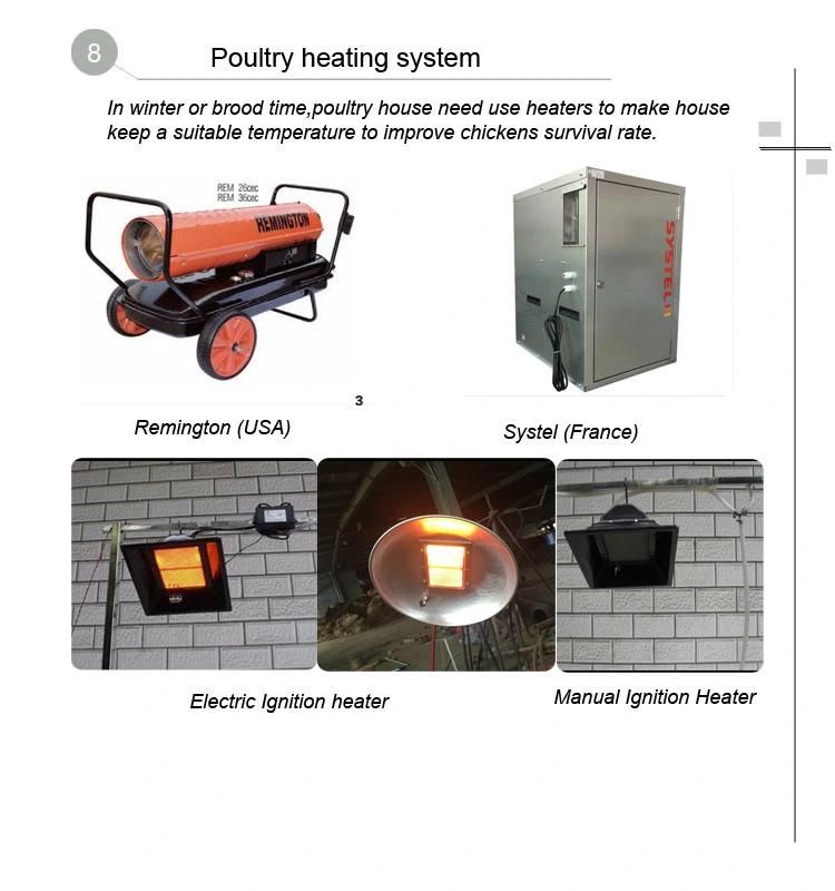 Automatic Chicken Poultry Farm Equipment for Breeder Broiler House