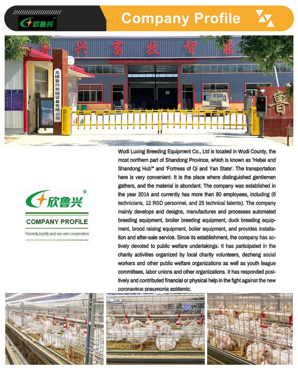 Automatic Poultry Farming Equipment Modernized Cage Layer Chicken Cage