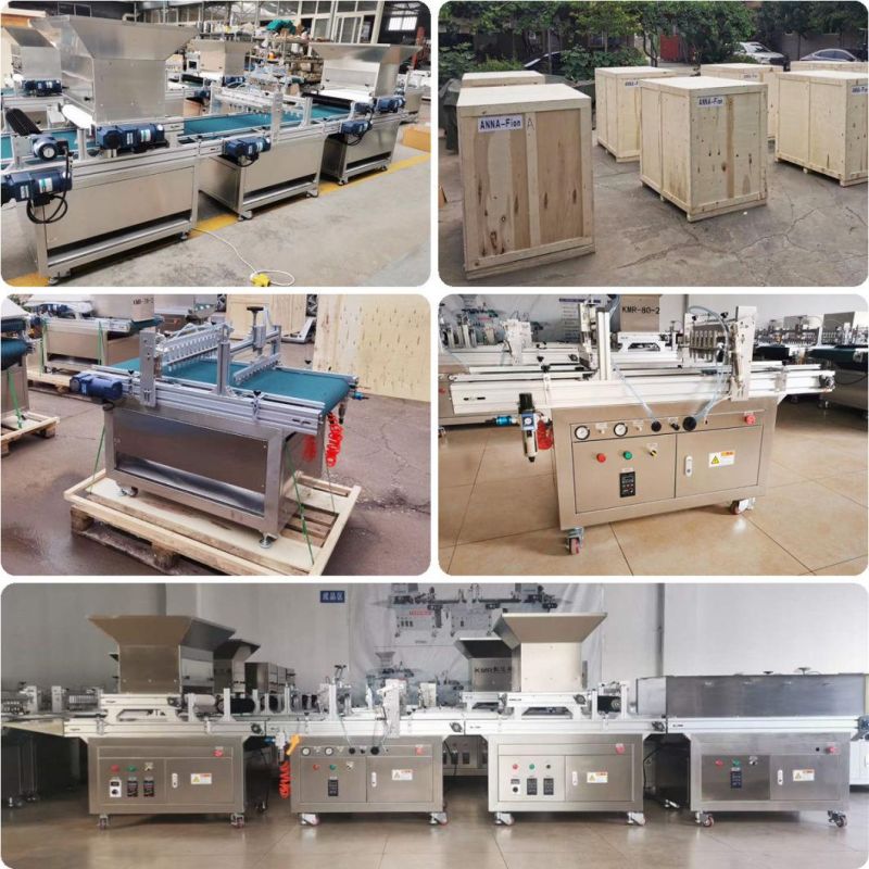 Factory Prefabricated Models of Agriculture Seedling Machines with Watering Station and Air Compressor for Complete Sowing Handling for Farming