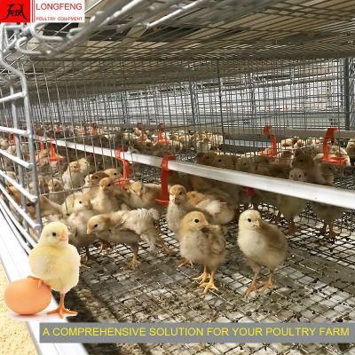 Dosing Medicine and Spray Disinfection Poultry Feeding Equipment Pullet Layer Chicken Cage