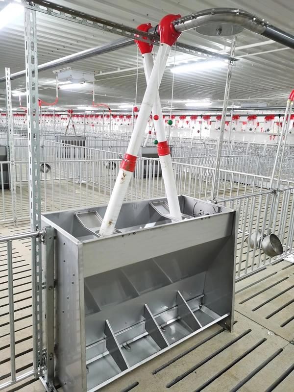 S. S 304# Swine House Double Sided Feeder Feeding Trough