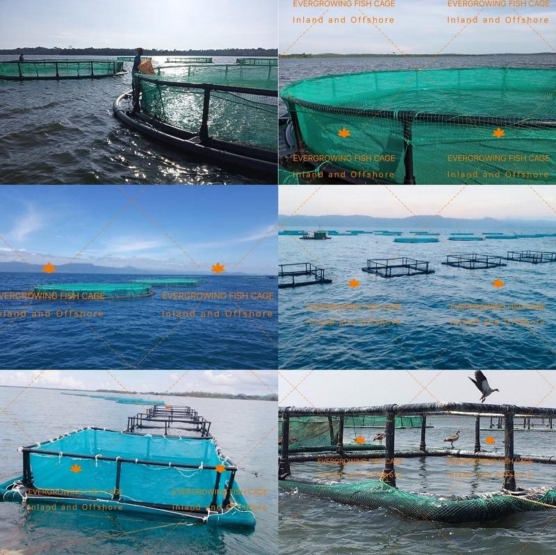 HDPE Floating Fish Farming Aquaculture Cage