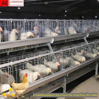 Longfeng Factory High Density Poultry Equipment for A Type of Layer Cage