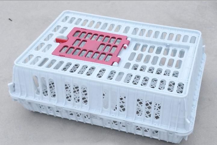 High Quality Chicken Cage, Plastic Cage for Chicken, Duck, Goose and Other Birds
