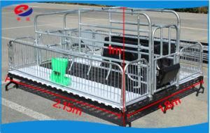 2019 New Design Hot-Dipped Galvanized Swine Farrowing Crates for Pigs