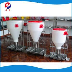 Automatic Pig Farming Equipment Dry and Wet Pig Feeder