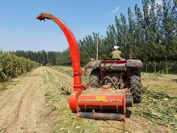 Farm Tractor Pull Behind Forage Harvester Silage Harvesting Machine with 1650mm Working Width