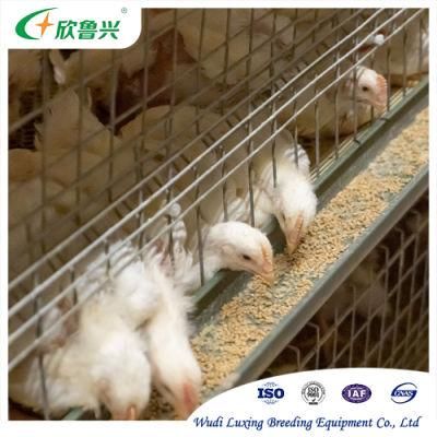 Broiler Hot DIP Galvanized Steel Battery Chicken Cage Poultry Farm Shed