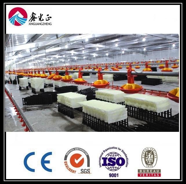 Good Quality Best Price Steel Structure Poultry House and Equipment