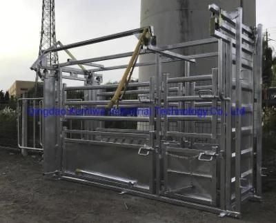 Factory Price Heavy Duty Galvanized Cattle Crush Cattle Fence