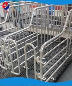 New Model Galvanized After Welding Gestation Stall/Gestation Pen/Gestation Crates for Pigs