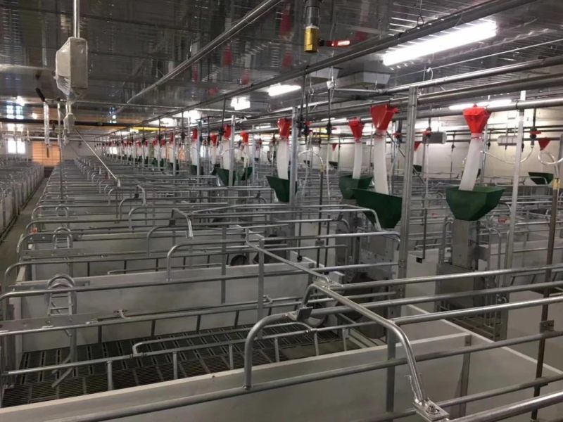 Galvanized Material Pig Farrowing Bed, Sow Positioning Fence