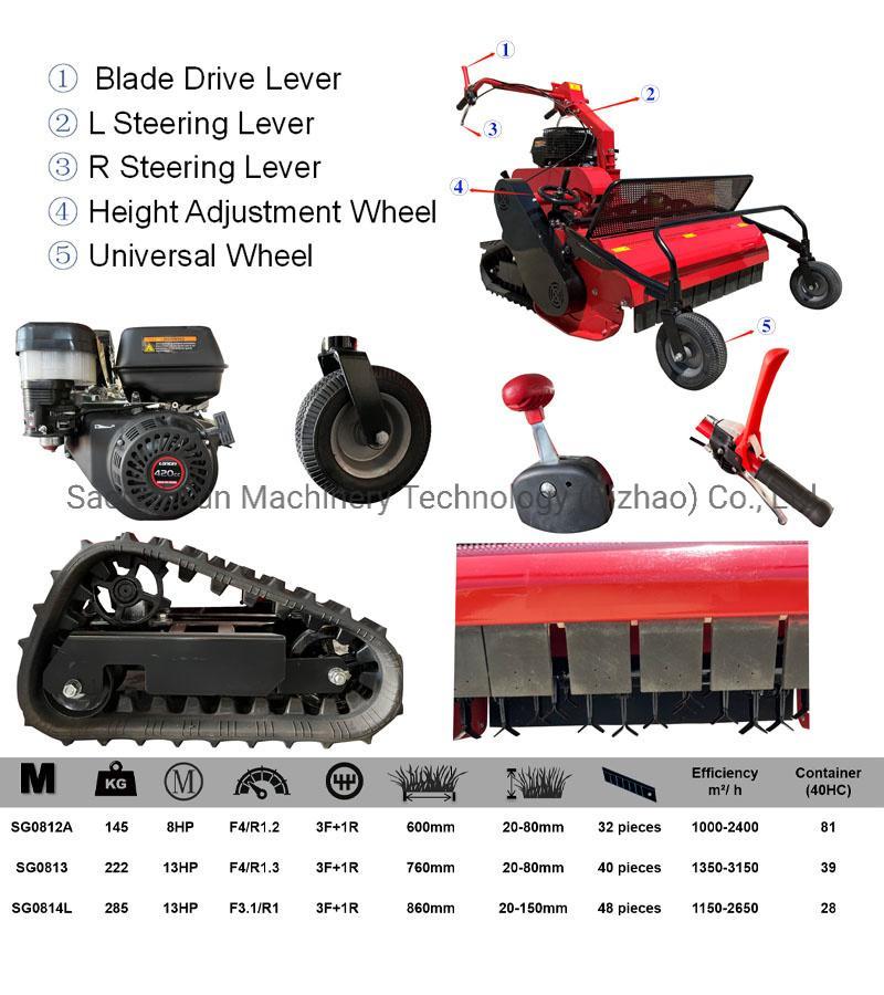 Gasoline Grass Cutting Lawn Mower Agricultural Machinery High Quality